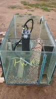 Salt Water Tank