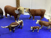 COLECTION OF HEREFORD AND SIMMENTAL CATTLE - 2