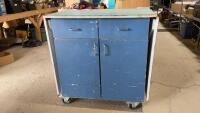 ROLLING SHOP CABINET