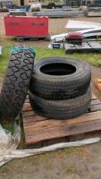 Pair of Michelins
