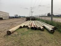 1 BUNDLE OF 13 POWER POLES/BIDDING PER POLE