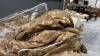 COMFORTER SET W/ DECOR PILLOWS - 2