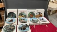 COLLECTOR PLATES - WILDLIFE COLLECTION