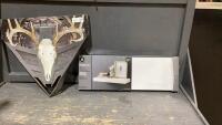 (2)ITEMS- &ldquo;STRUT-N-SKULL&rdquo; TROPHY MOUNTING SYSTEM + A FLOATING SHELF