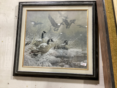 FRAMED PICTURE - CANADA GEESE IN WINTER