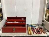 TOOL BOX W/ DEHORNER, SYRINGES, EAR TAG PLIER & MISCELLANEOUS