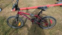 Phoenix Dirt Series Bike