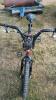 Phoenix Dirt Series Bike - 2