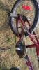 Phoenix Dirt Series Bike - 3