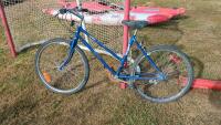 FreeSpirit Ten Speed Bike