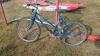 FreeSpirit Ten Speed Bike