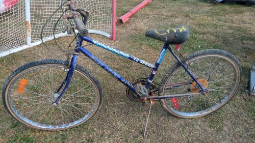FreeSpirit 12 Speed Bike