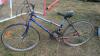 FreeSpirit 12 Speed Bike