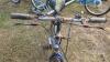FreeSpirit 12 Speed Bike - 2