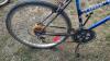 FreeSpirit 12 Speed Bike - 3