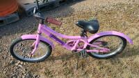 Raleigh Kids Bike