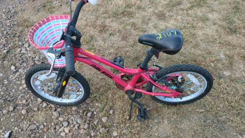 Raleigh Kids Bike