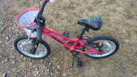 Raleigh Kids Bike