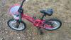 Raleigh Kids Bike