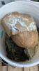 Five Pails of Decorative Rock - 2