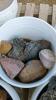 Five Pails of Decorative Rock - 4