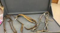 BRAIDED HEADSTALL W/ CURB BIT, BREAST COLLAR & STANDING MARTINGALE