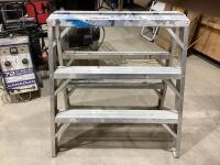 3-STEP ALUMINUM LADDER