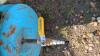 Webster Air Compressor - 3
