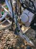 Midwest quad - 8