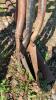 Garden Implement Bundle - 2