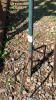 Bundle of Garden Hooks - 2