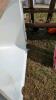 Shower Stall - 4