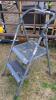 Step stool/project ladder