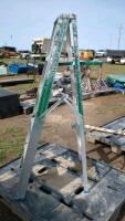 5 Foot Step Ladder