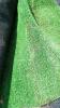 Outdoor Turf - 4