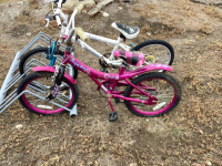 2 bikes - Purple Rain bike and white Meyou bike