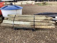 (16) FENCE POSTS