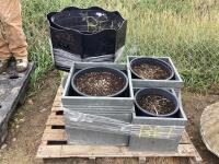 PALLET OF MIXED PLANT POTS