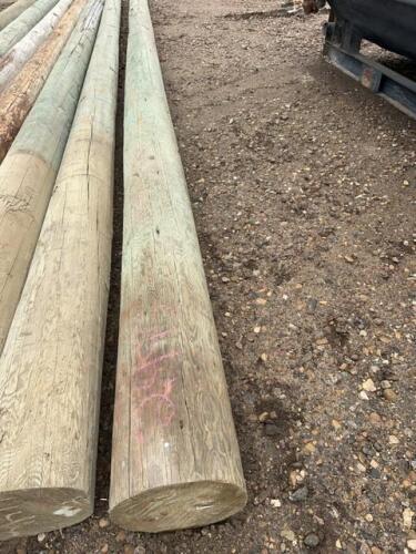 Treated Power pole