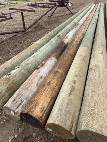 Six treated power poles/Bidding per pole