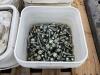 (8) PAILS OF MIXED BOLTS & NUTS - 2