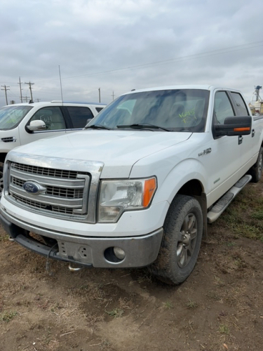 2013 White Ford F150 XLT 4 x 4 Quad Cab