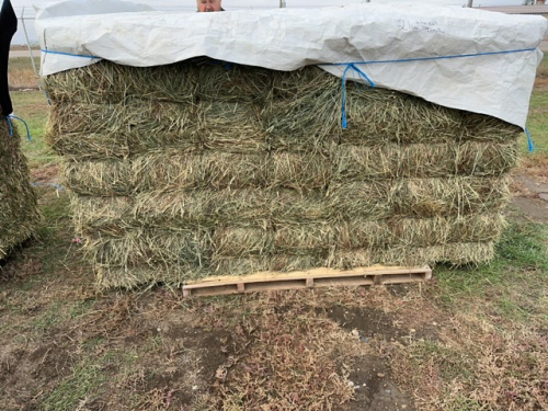 21. Bale block of Timothy hay.