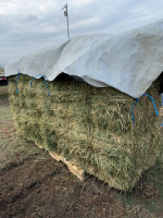 21. Bale block, third cut alfalfa.