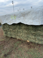 21 bale block alfalfa Timothy hay