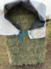 21 bale block alfalfa Timothy hay - 2