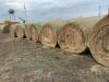 18 Round Bales 3rd cut Alfalfa " BIDDING PER BALE "