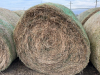 18 Round Bales 3rd cut Alfalfa " BIDDING PER BALE " - 2