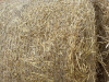 34 round bales of barley straw " BIDDING PER BALE " - 2