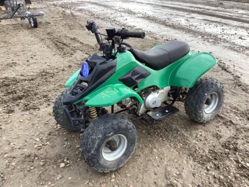 Kids Quad 50cc